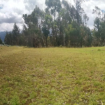 Terreno en Venta en Pampa Chicuana – A 15 Minutos de la Laguna Chamis, Cajamarca