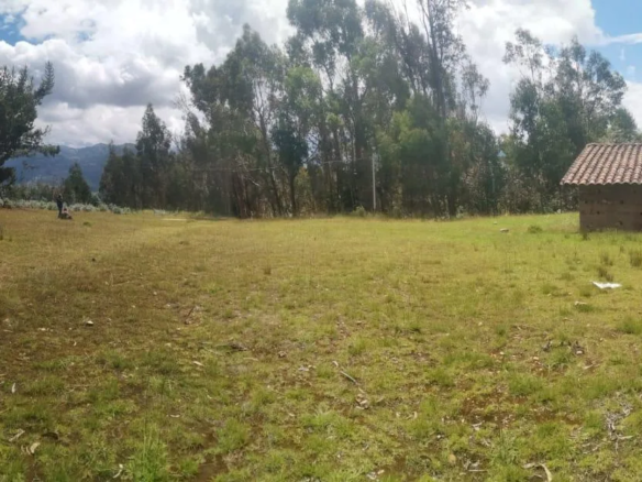 Terreno en Venta en Pampa Chicuana – A 15 Minutos de la Laguna Chamis, Cajamarca