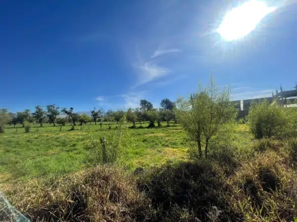 Amplio terreno en venta en Av. Atahualpa, Cajamarca. 44,064 m² ideales para proyectos comerciales, residenciales o turísticos. Inversión estratégica.