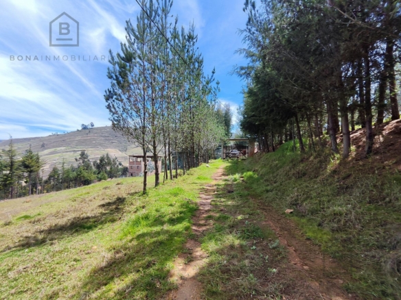 Terreno — Cajamarca | Cajamarca | BAÑOS DEL INCA [BLA7728142]
