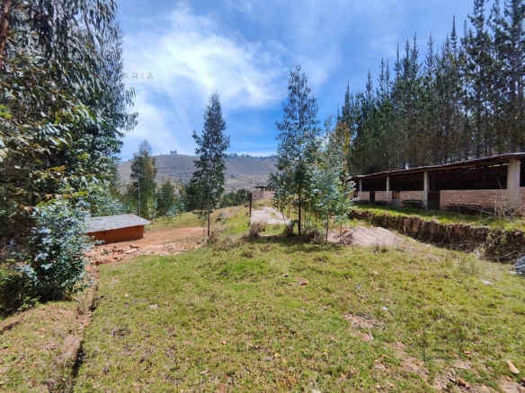 Terreno — Cajamarca | Cajamarca | BAÑOS DEL INCA [BLA7728142]