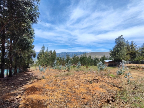 Terreno — Cajamarca | Cajamarca | BAÑOS DEL INCA [BLA7728142]