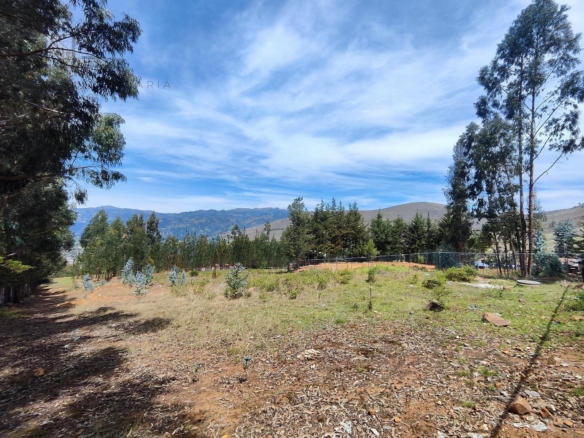 Terreno — Cajamarca | Cajamarca | BAÑOS DEL INCA [BLA7728142]