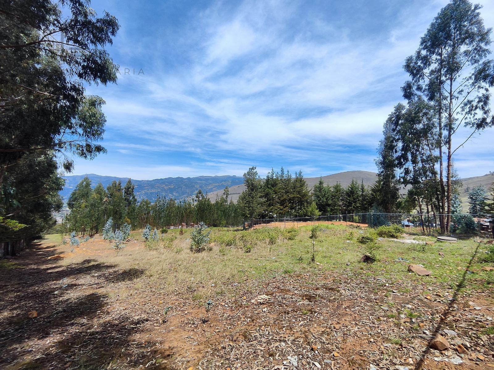Terreno — Cajamarca | Cajamarca | BAÑOS DEL INCA [BLA7728142]