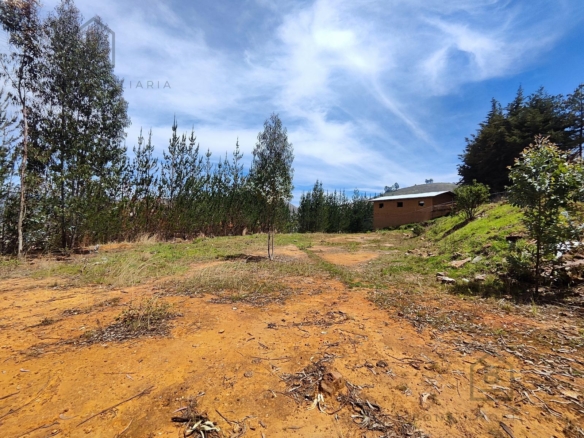Terreno — Cajamarca | Cajamarca | BAÑOS DEL INCA [BLA7728142]