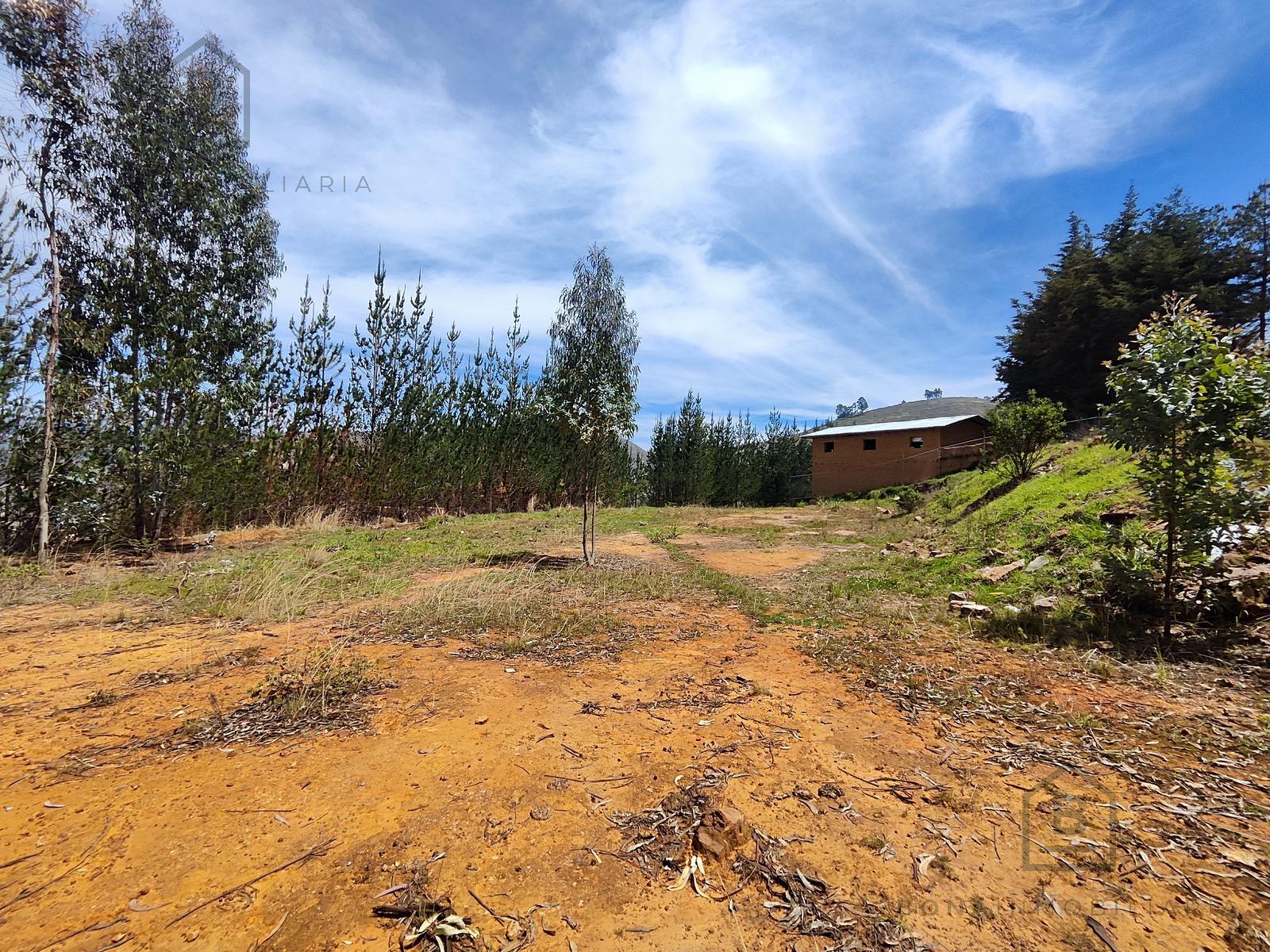 Terreno — Cajamarca | Cajamarca | BAÑOS DEL INCA [BLA7728142]