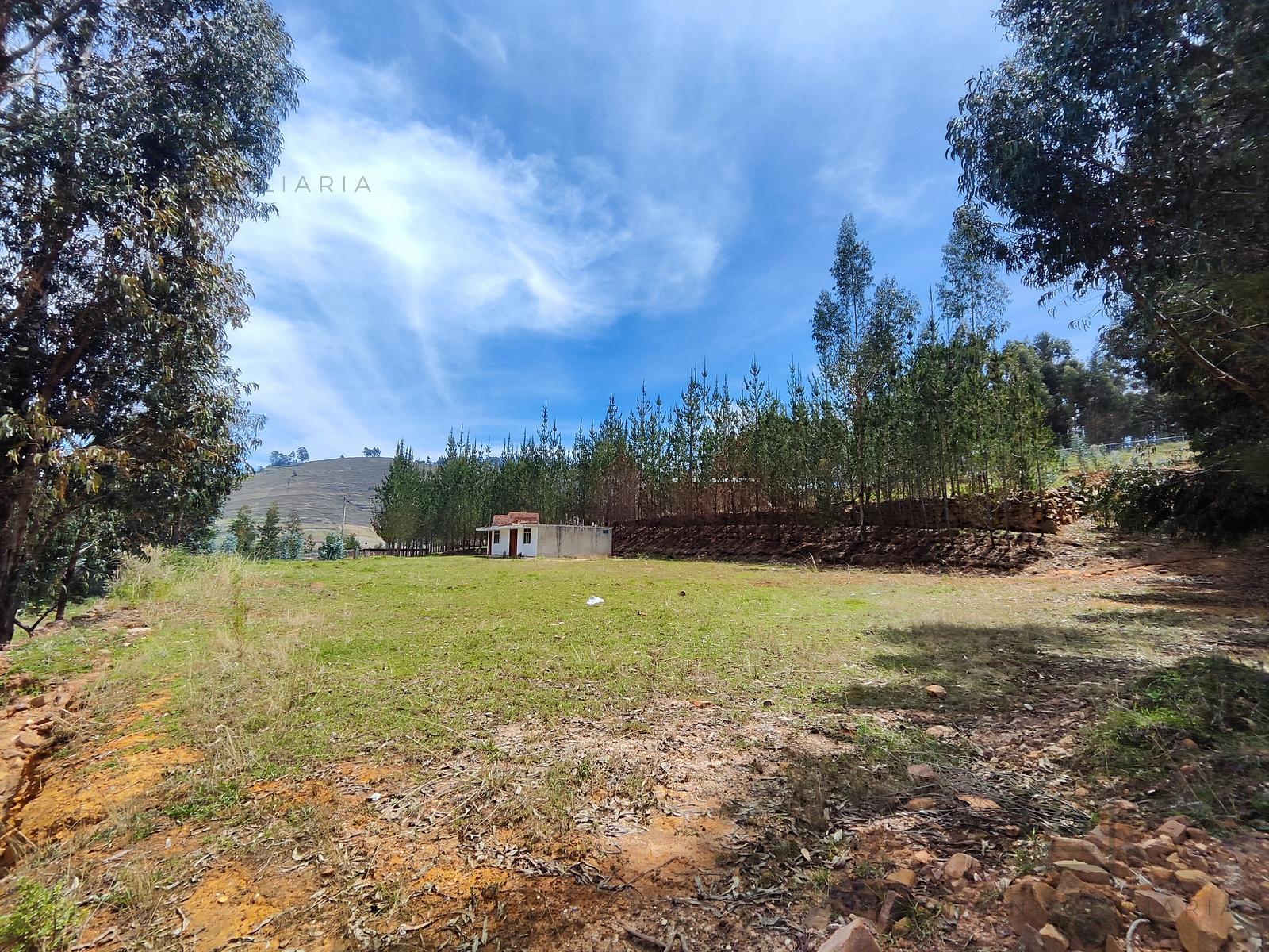 Terreno — Cajamarca | Cajamarca | BAÑOS DEL INCA [BLA7728142]