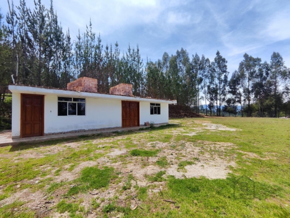 Terreno — Cajamarca | Cajamarca | BAÑOS DEL INCA [BLA7728142]