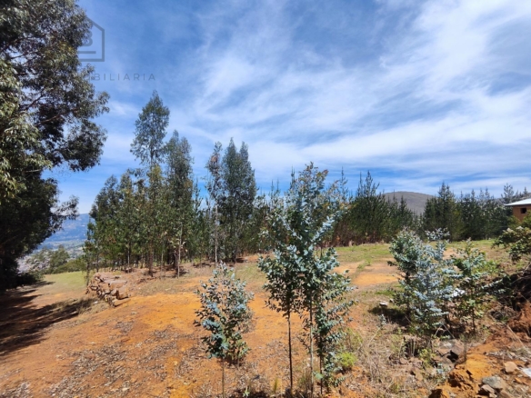 Terreno — Cajamarca | Cajamarca | BAÑOS DEL INCA [BLA7728142]