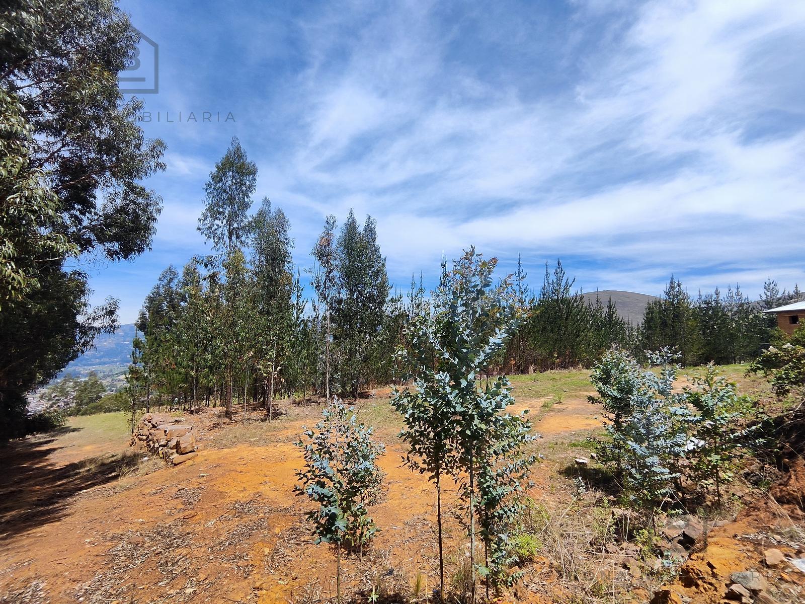 Terreno — Cajamarca | Cajamarca | BAÑOS DEL INCA [BLA7728142]