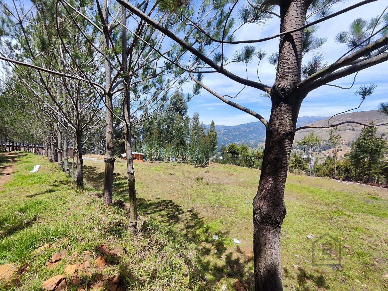 Terreno — Cajamarca | Cajamarca | BAÑOS DEL INCA [BLA7728142]
