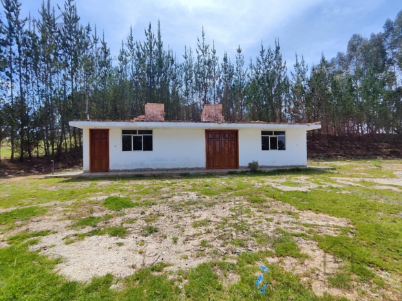 Terreno — Cajamarca | Cajamarca | BAÑOS DEL INCA [BLA7728142]