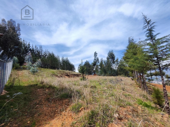 Terreno — Cajamarca | Cajamarca | BAÑOS DEL INCA [BLA7728142]
