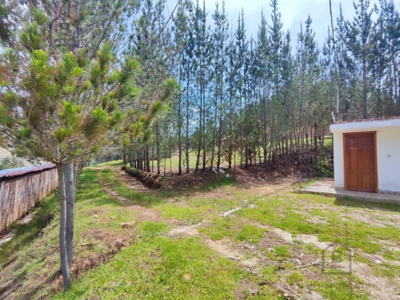 Terreno — Cajamarca | Cajamarca | BAÑOS DEL INCA [BLA7728142]