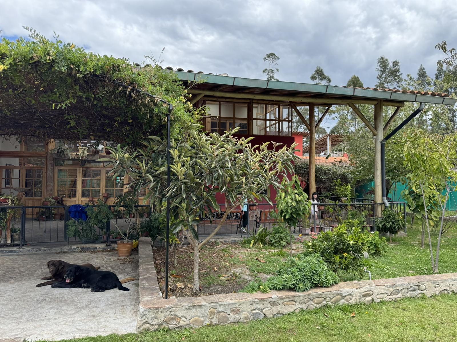 Casa — Cajamarca | Cajamarca | Cajamarca [BHO8011391]