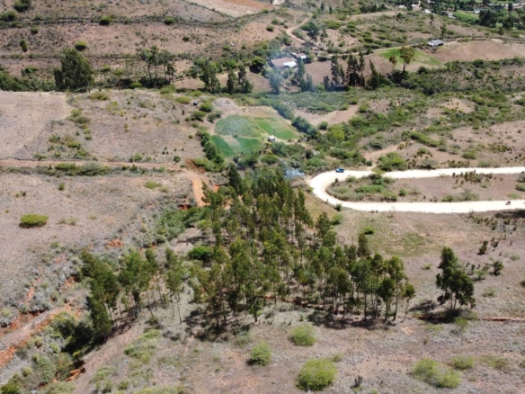 Terreno — Cajamarca | Cajamarca | Cajamarca [BLA8685483]