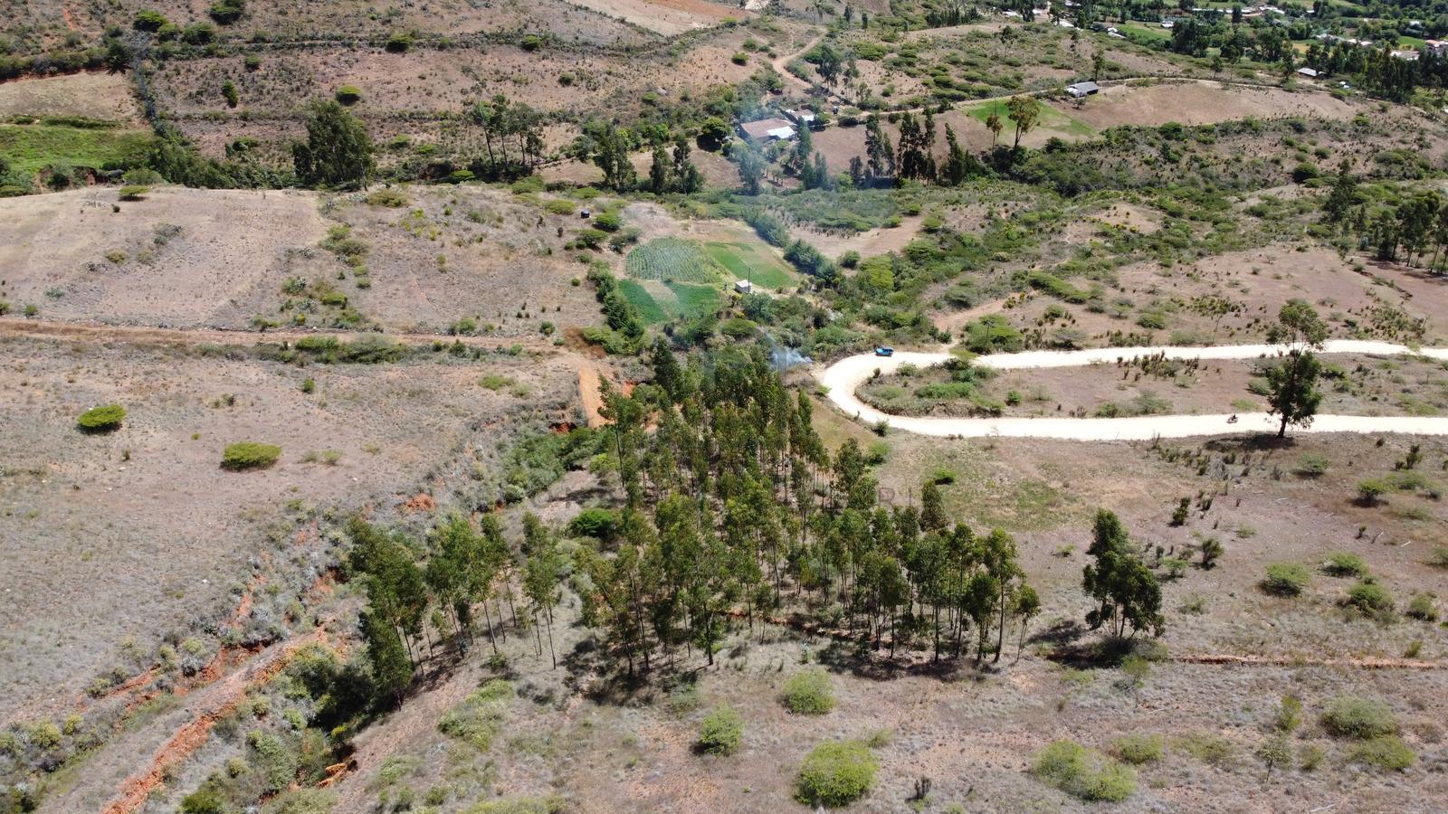 Terreno — Cajamarca | Cajamarca | Cajamarca [BLA8685483]