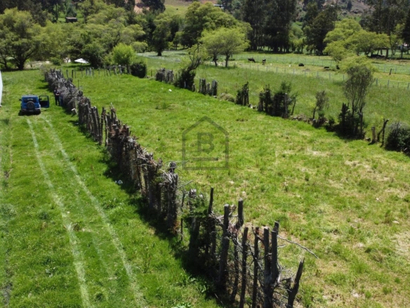 Terreno — Cajamarca | Cajamarca | Llacanora [BLA12840831]